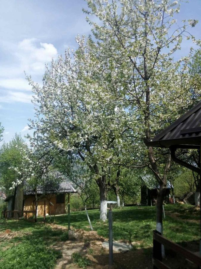 Bungalows Old Town Visoko Exterior photo